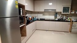 Blk 507 Elias Parks Estate (Pasir Ris), HDB Executive #565841341